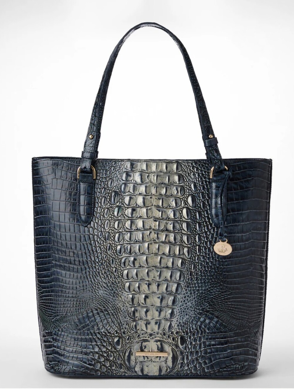 Brahmin Ezra Tote Bag